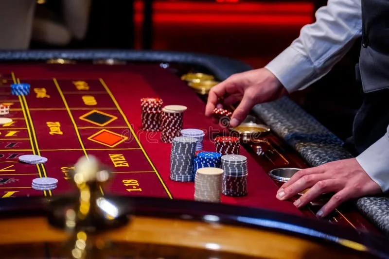 uk555 What We Offer in the uk555 Casino